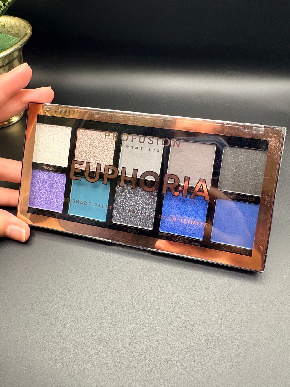 Profusion Cosmetics Euphoria Eyeshadow Palette 10 Shade Blue Silver New Sealed